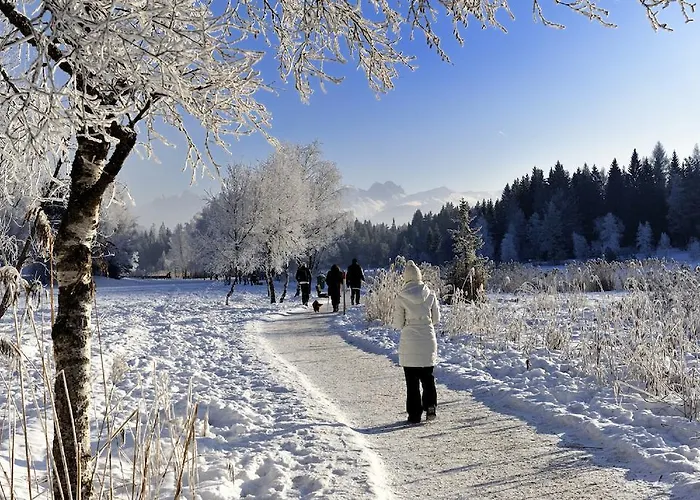 Haus Stefanie - Adults Only Гостевой дом 3*